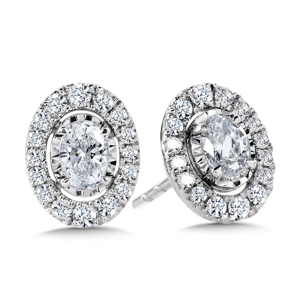 14K White Gold Diamond Star Diamond Studs