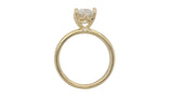 14 Karat Yellow Gold 2 Diamonds=.02 Carat FG VS Semi Cubic Zirconia Engagement Ring Size 6.5
