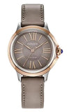 Women's Citizen L Ceci  
Eco-Drive  
Two Tone  Stainless Steel 32mm Case  
Taupe Band  
Taupe Dial  
Pink Gold Tone Hands & Markers 
Synthetic Sapphire Crown