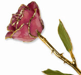 Brand: QUALITY GOLD
Laquer Dipped Gold Trim Dusty Pink Rose - Giftware