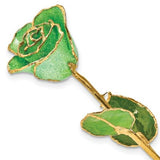 Brand: QUALITY GOLD
Lacquer Dipped Gold Trim Green Glitter Rose - Giftware