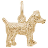 JACK RUSSELL TERRIER