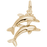 TWO DOLPHINS