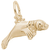 MANATEE CHARM