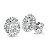 Oval Cluster Diamond Mirage Halo Stud Earrings (3/4 ctw)